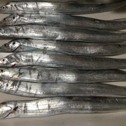 まずまずの釣果